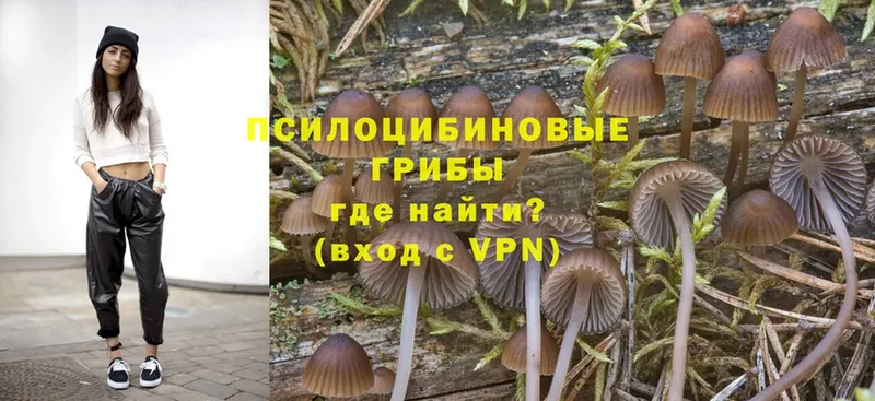 darknet формула  Куса  Галлюциногенные грибы мухоморы 